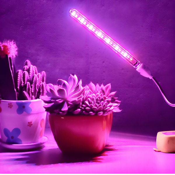 LED Plant Light