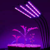 LED Plant Light